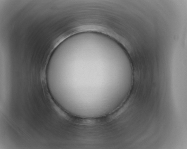 X0000110771521200906291038