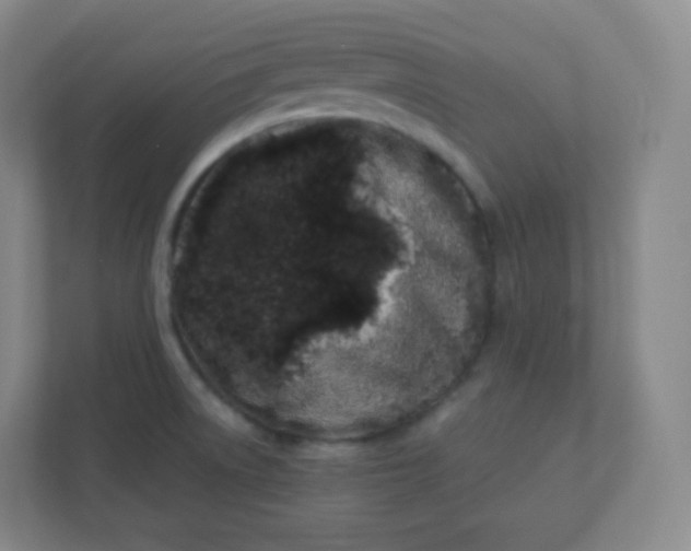 X0000110771522200906291038