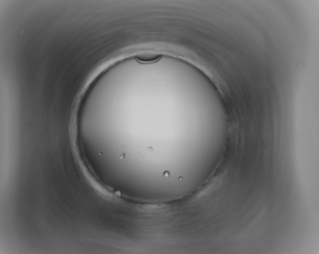 X0000110771523200906291038