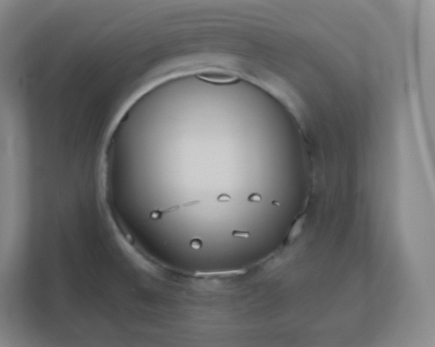 X0000110771524200906291038