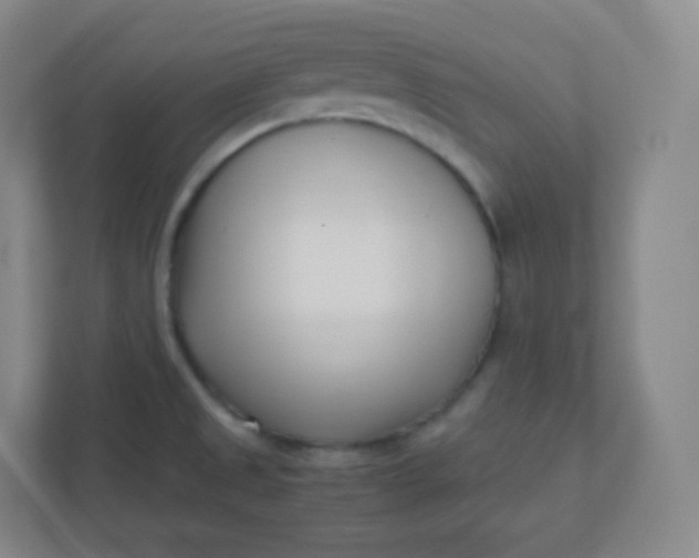 X0000110771525200906291038