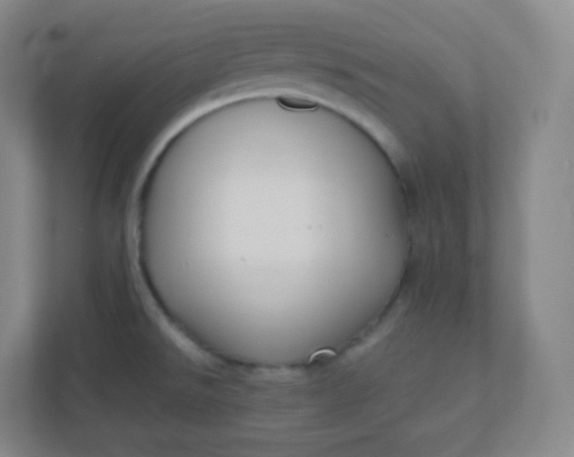 X0000110771526200906291038