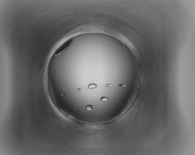 X0000110771528200906291038