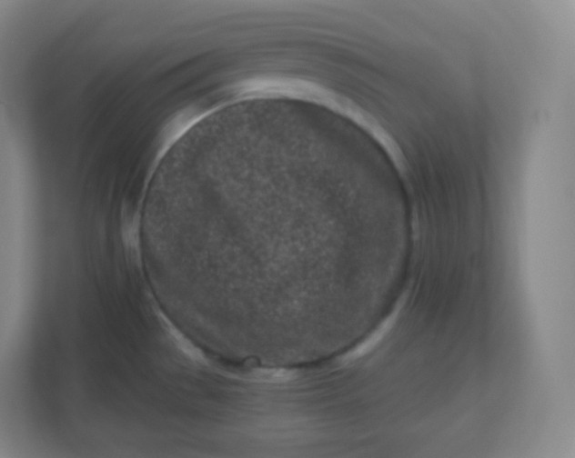 X0000110771529200906291038