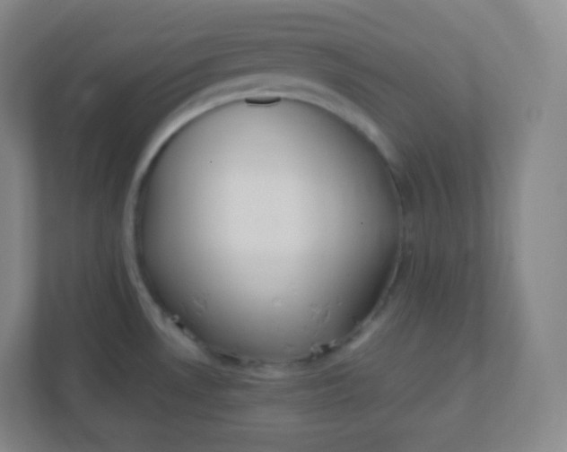 X0000110771530200906291038