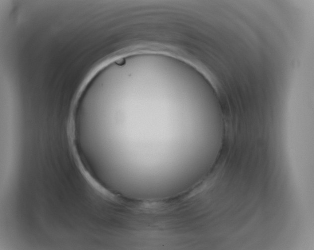 X0000110771531200906291038