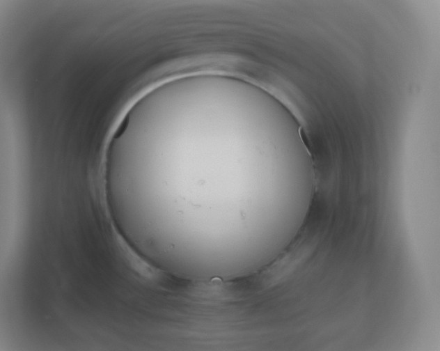 X0000110771532200906291038