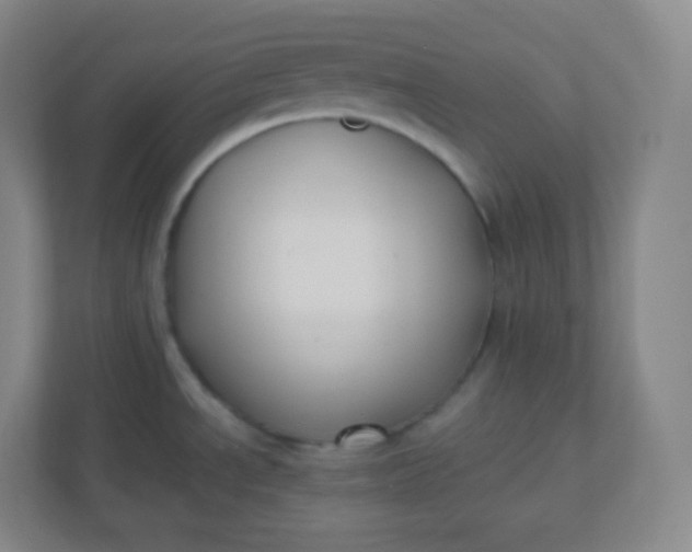 X0000110771534200906291038