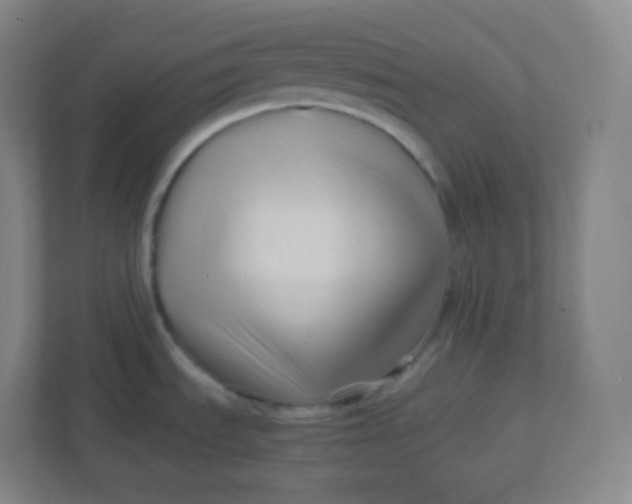 X0000110771535200906291038