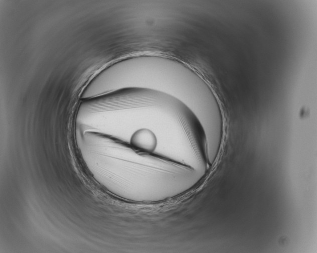 X0000110770001200907061130