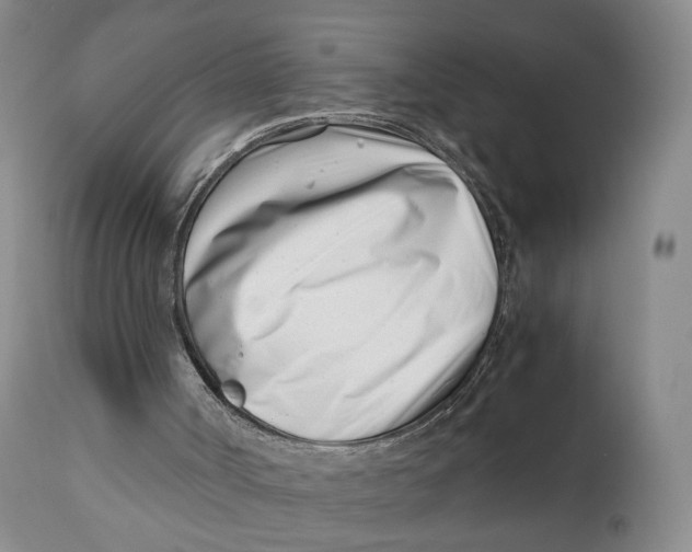 X0000110770002200907061130