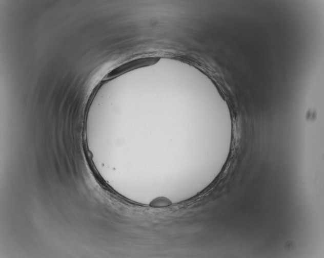 X0000110770003200907061130