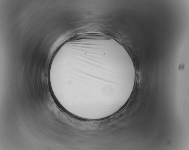 X0000110770004200907061130