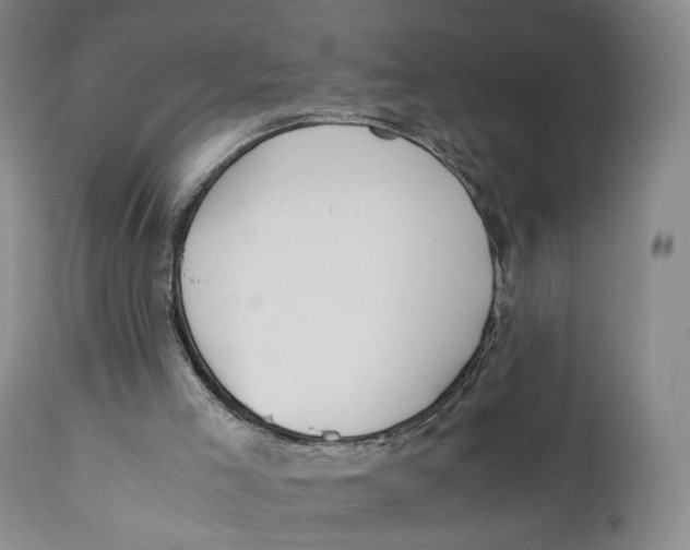 X0000110770005200907061130