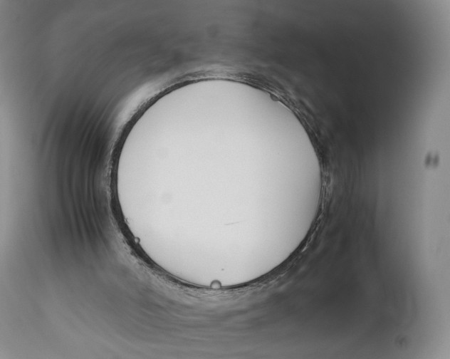 X0000110770006200907061130