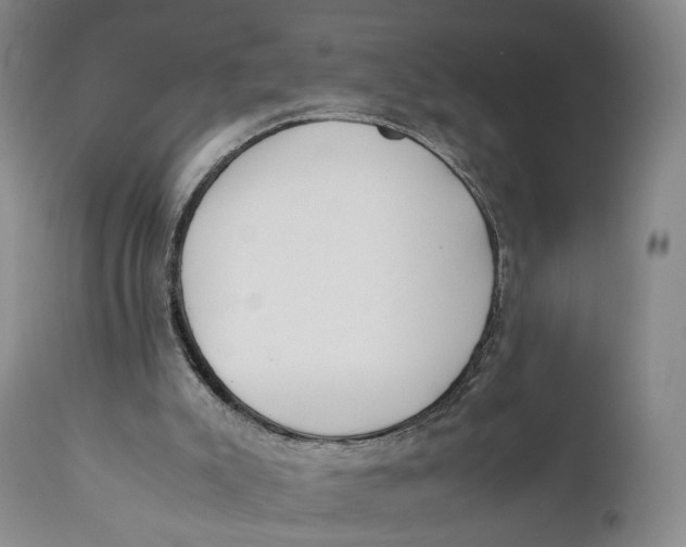 X0000110770007200907061130