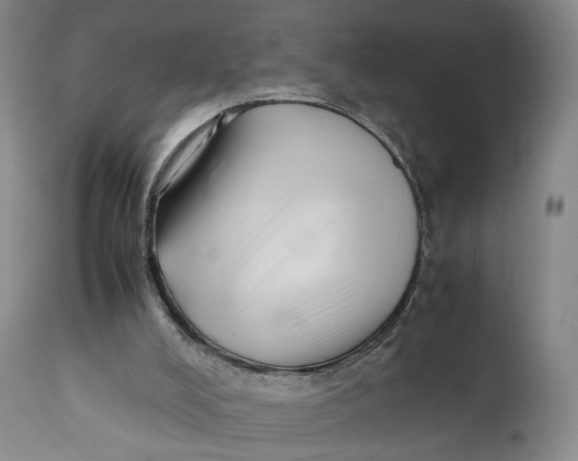 X0000110770008200907061130