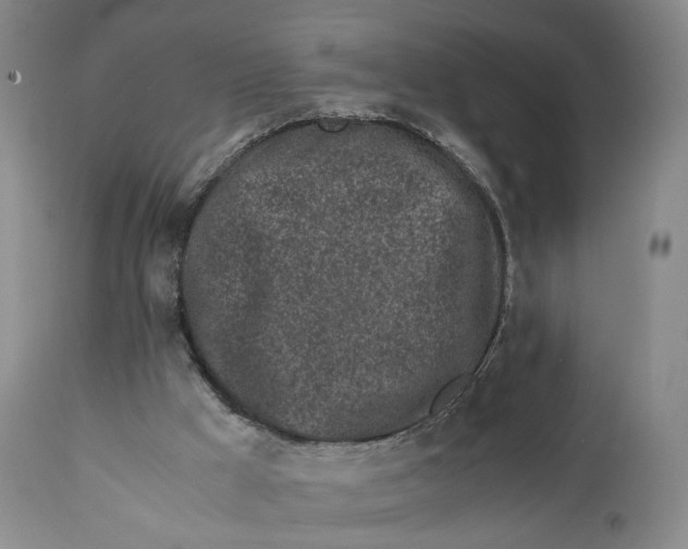 X0000110770009200907061130