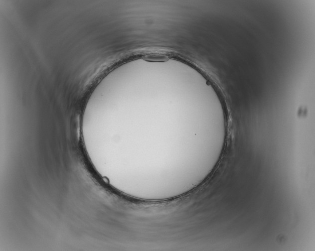 X0000110770013200907061130