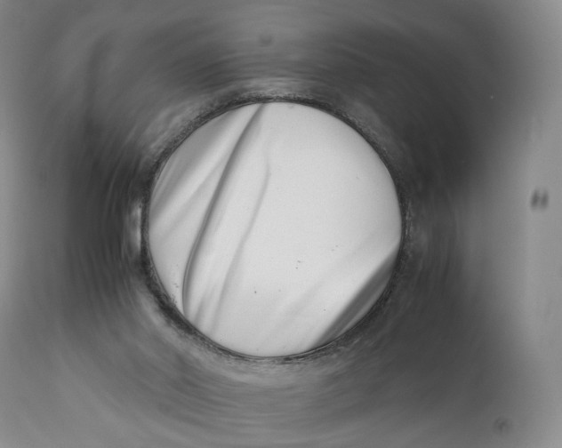 X0000110770014200907061130