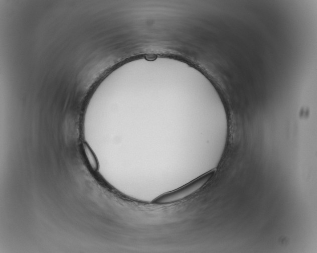 X0000110770015200907061130