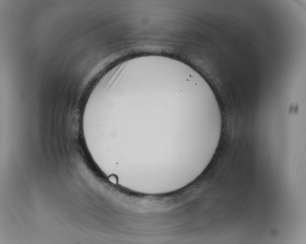 X0000110770016200907061129