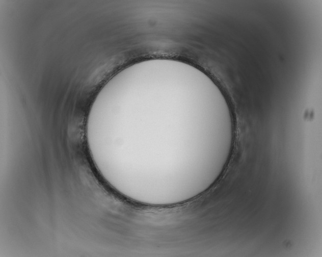 X0000110770017200907061129