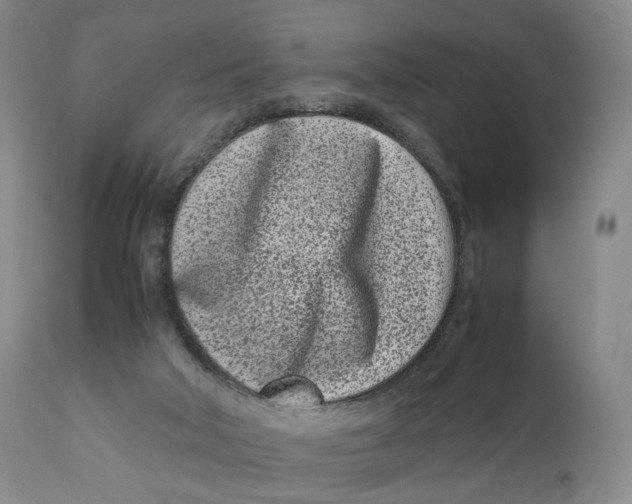 X0000110770018200907061129