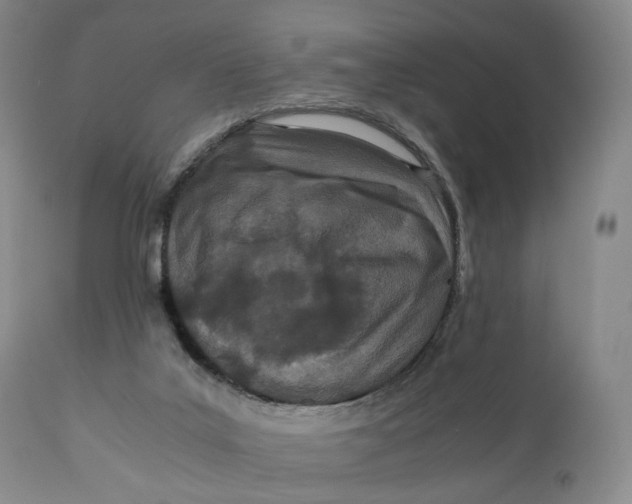 X0000110770019200907061129