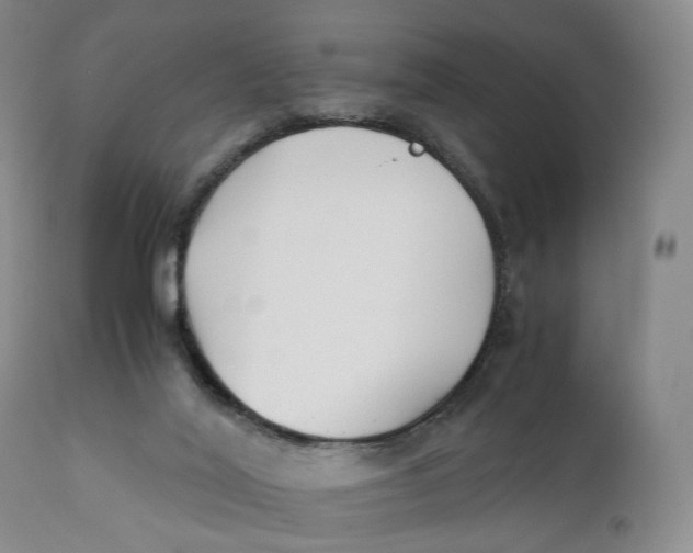 X0000110770020200907061129