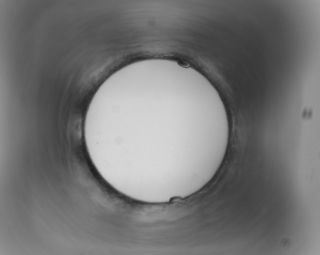 X0000110770021200907061129