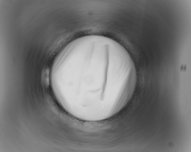 X0000110770022200907061129