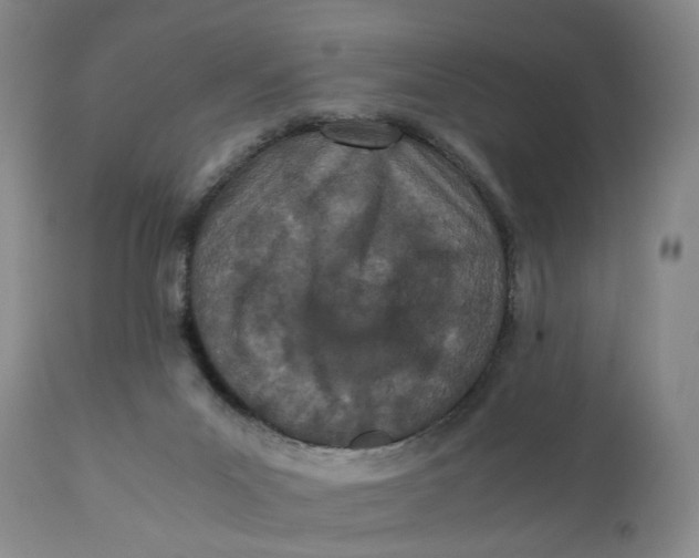 X0000110770023200907061129