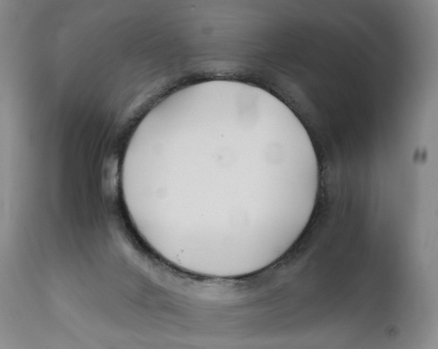 X0000110770024200907061129