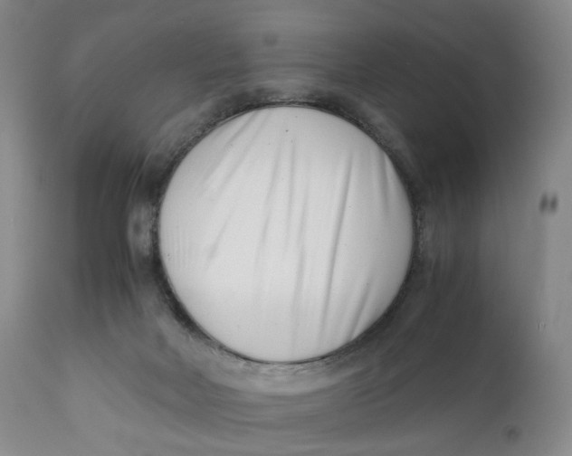 X0000110770026200907061129