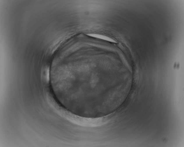 X0000110770027200907061129