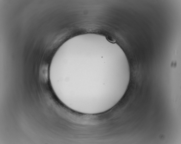 X0000110770028200907061129