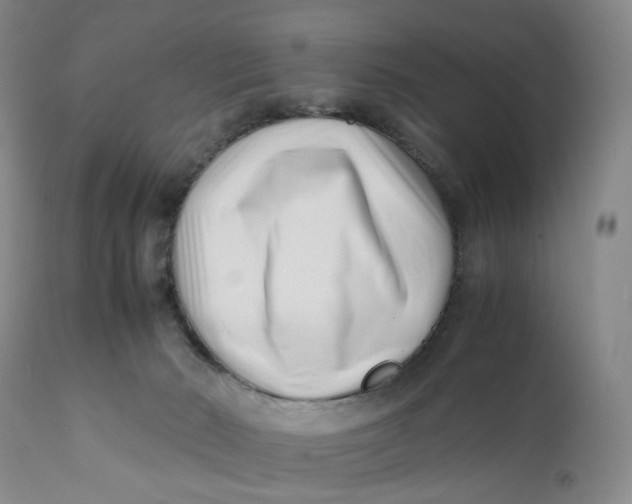 X0000110770030200907061129