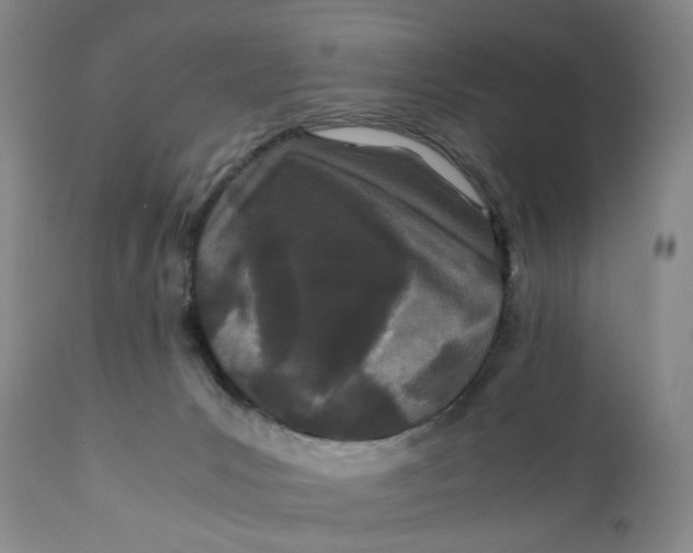 X0000110770031200907061129