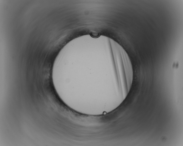 X0000110770032200907061129