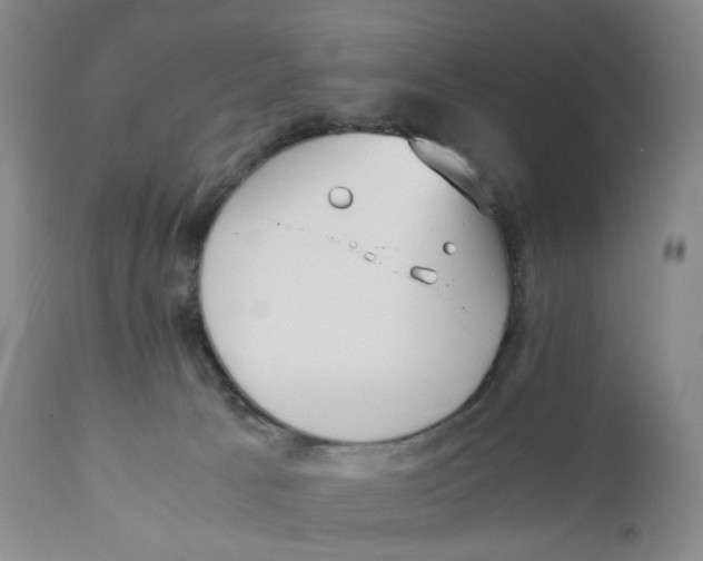 X0000110770033200907061129