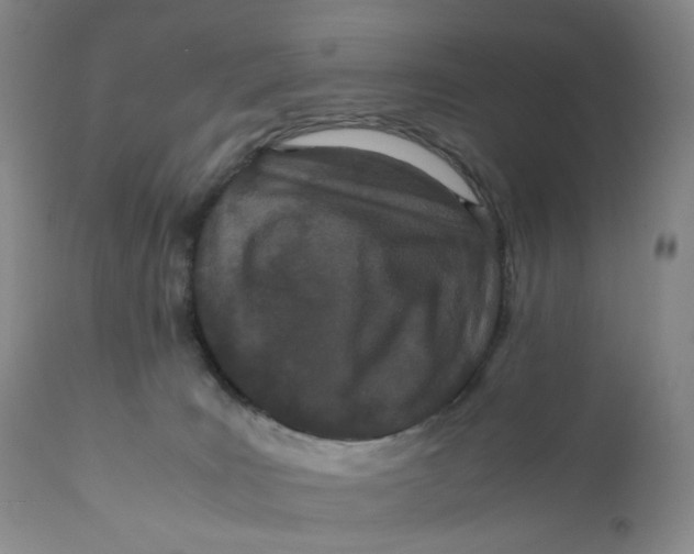 X0000110770035200907061129