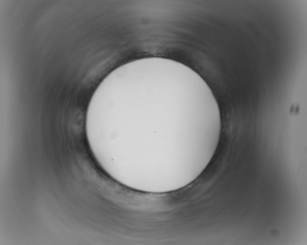 X0000110770036200907061129