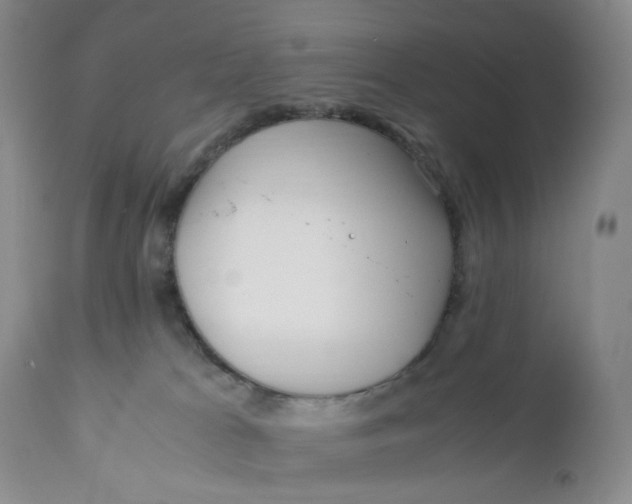 X0000110770037200907061129