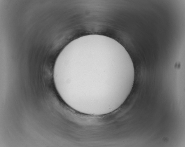 X0000110770040200907061129