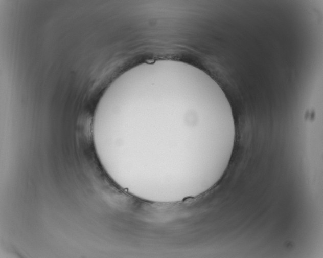 X0000110770041200907061129