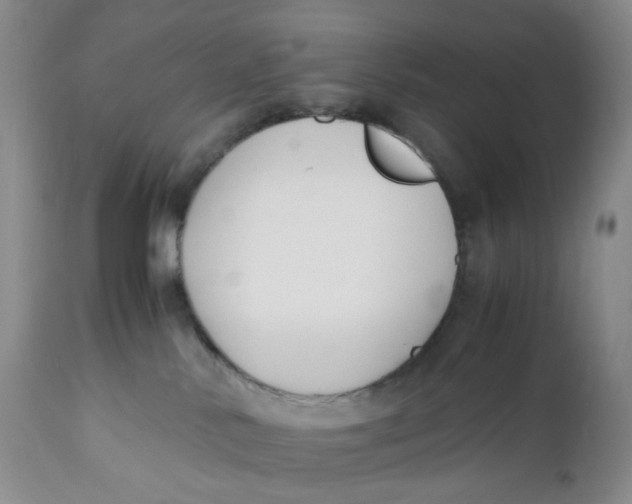 X0000110770042200907061129