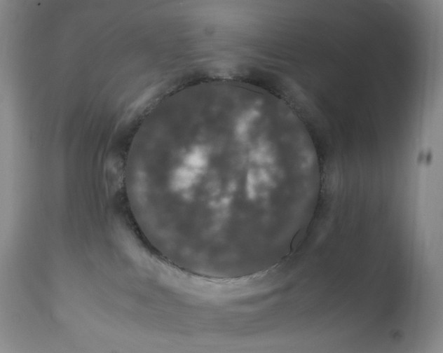 X0000110770043200907061129