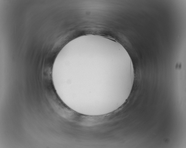 X0000110770045200907061129