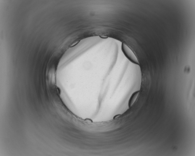 X0000110770046200907061129